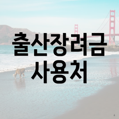 출산장려금 사용처