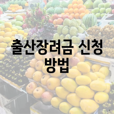 출산장려금 신청 방법