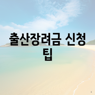 출산장려금 신청 팁