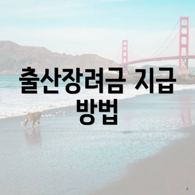 출산장려금 지급 방법