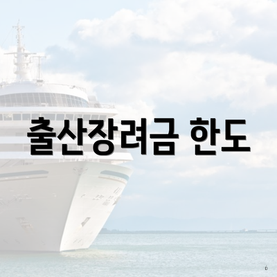 출산장려금 한도