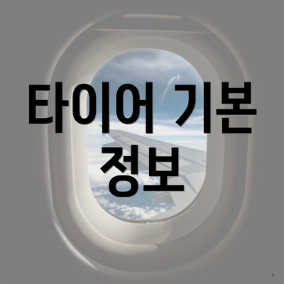 타이어 기본 정보