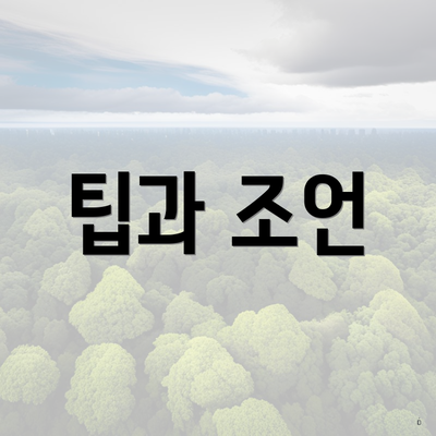 팁과 조언