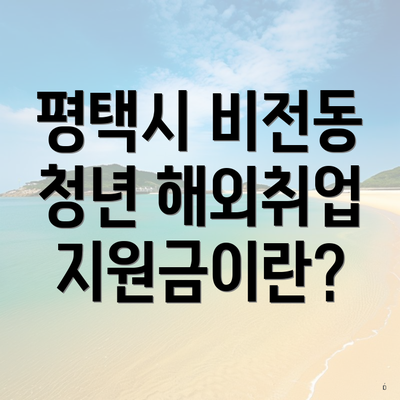 평택시 비전동 청년 해외취업 지원금이란?