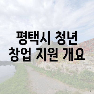 평택시 청년 창업 지원 개요