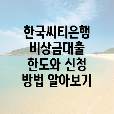 한국씨티은행 비상금대출 한도