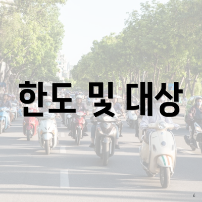 한도 및 대상