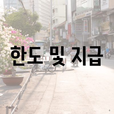 한도 및 지급