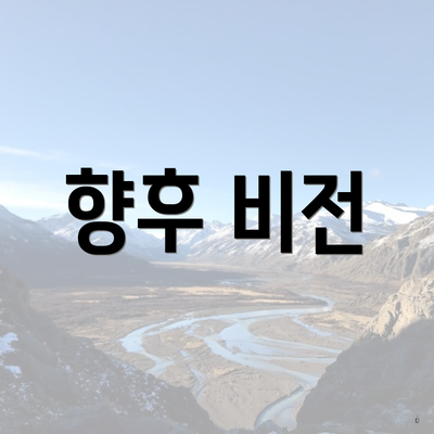 향후 비전