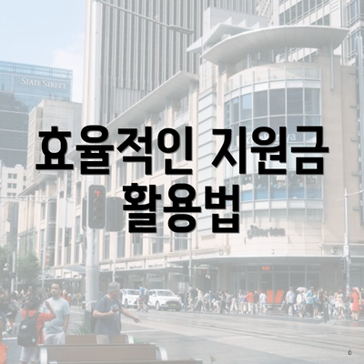 효율적인 지원금 활용법