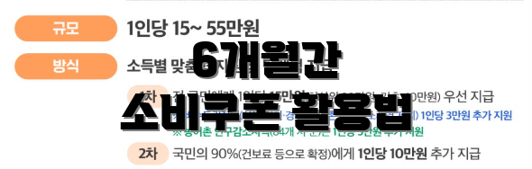6개월간 소비쿠폰 활용법