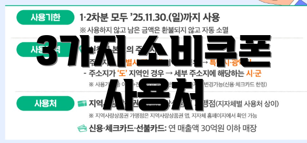 3가지 소비쿠폰 사용처