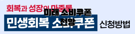 미래 소비쿠폰 전망
