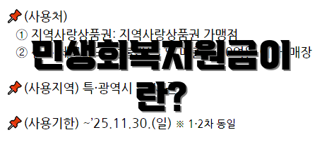 민생회복지원금이란?