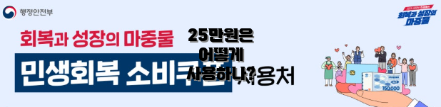 25만원은 어떻게 사용하나?