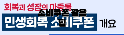 소비쿠폰 활용 팁