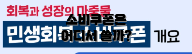 소비쿠폰은 어디서 쓸까?