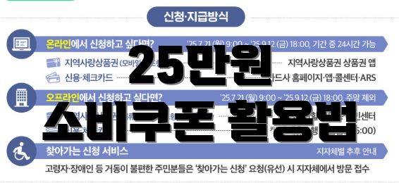25만원 소비쿠폰 활용법