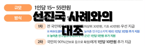 선진국 사례와의 대조