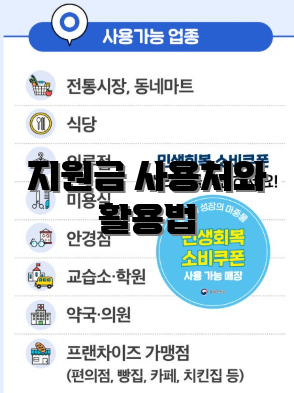 지원금 사용처와 활용법