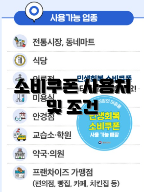 소비쿠폰 사용처 및 조건