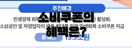 소비쿠폰의 혜택은?