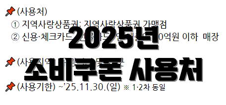 2025년 소비쿠폰 사용처