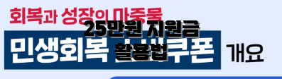 25만원 지원금 활용법