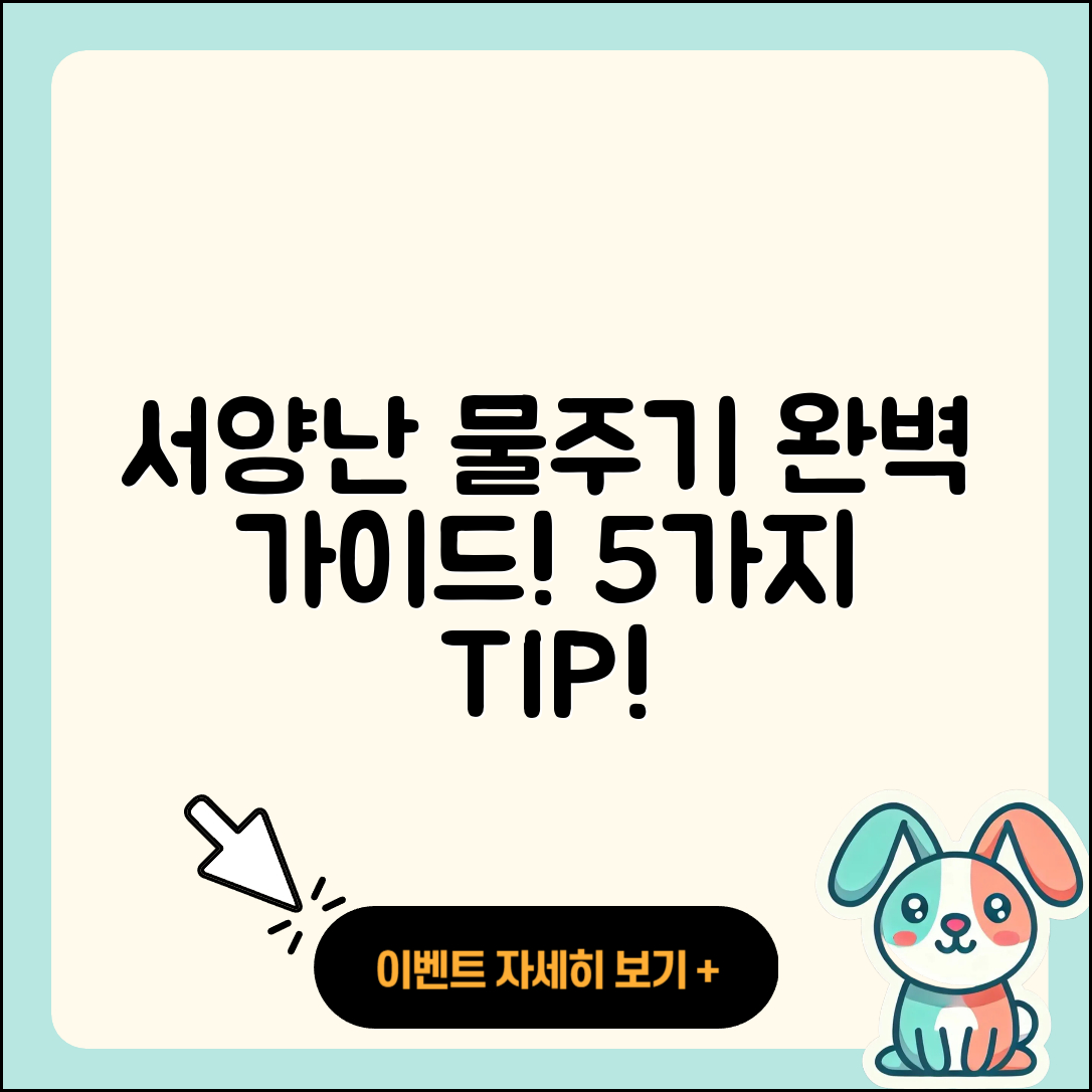 서양난 물주기 완벽 가이드 5가지