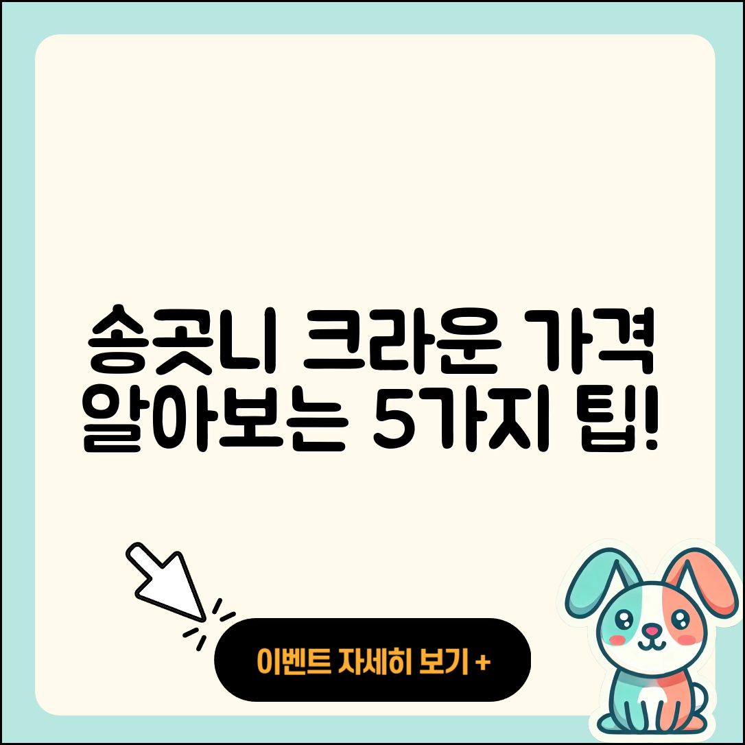 송곳니 크라운 가격 알아보는 5가지 방법