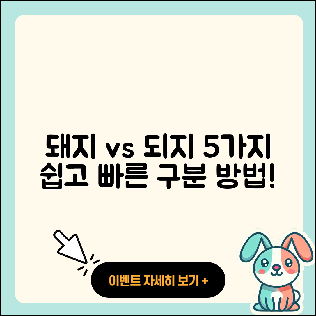 되지돼지 구분하는 5가지 쉬운 방법