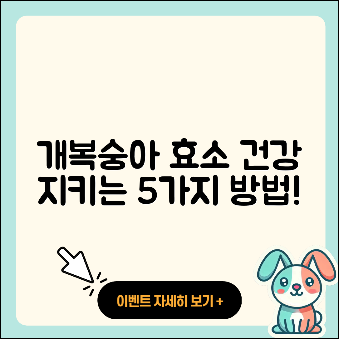 개복숭아효소효능으로 건강 지키는 5가지 방법