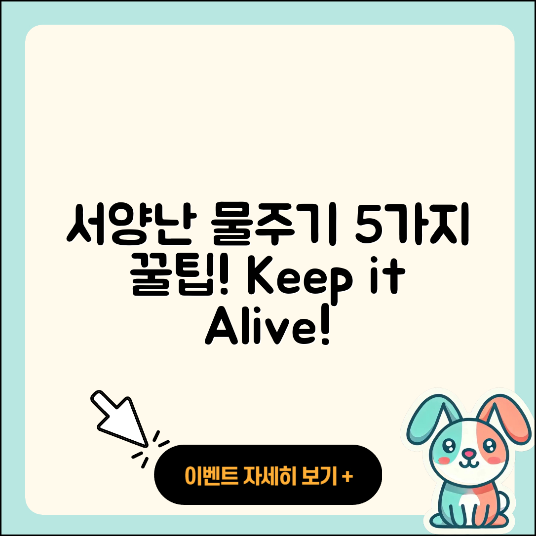 서양난 물주기 5가지 팁!