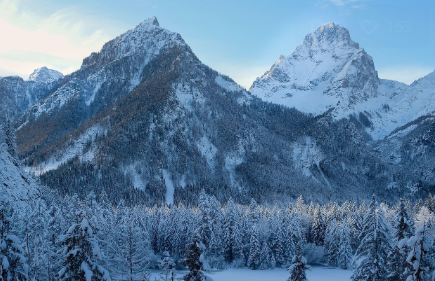 분쟁 해결 방법 실전 팁