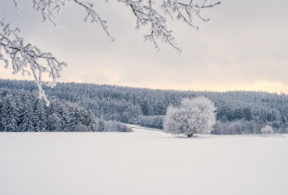 추천 포인트: 오래 쓰는 설계 노하우