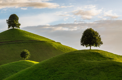 청구 모바일로 하는 법 1