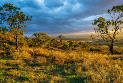 청구 모바일로 하는 법