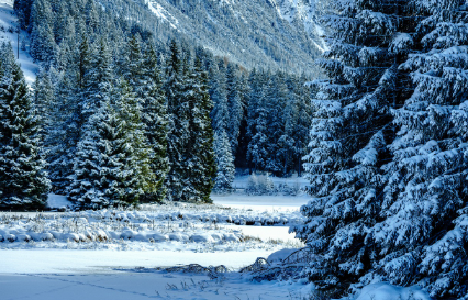 최신 개정 내용 정리 실생활 청구 팁