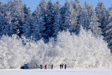 설계 전에 꼭 체크할 사항