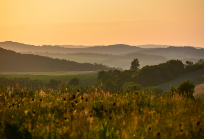 분쟁 해결 방법 확장